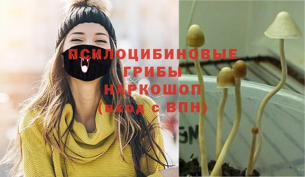 гидропоника Майский