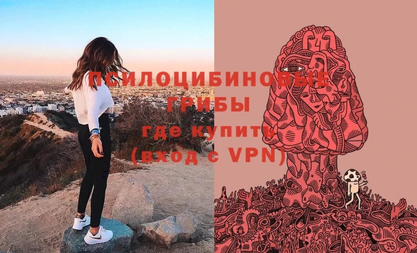 винт Магас